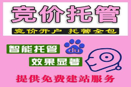 信息流广告开户攻略：多维度案例剖析